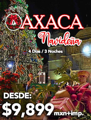 bloqueo-oaxaca-navidena